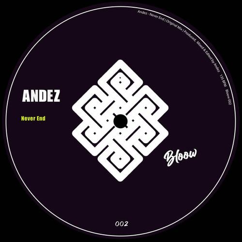 Andez-Never End