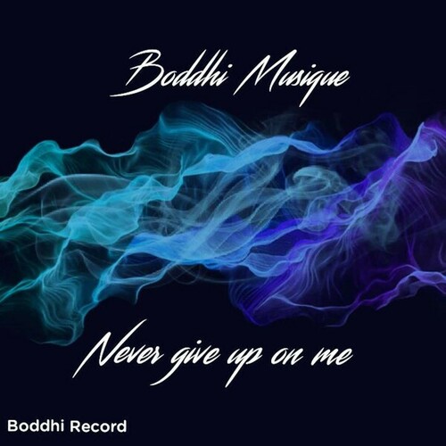 Boddhi Musique-Never Give up on Me (Radio Edit)