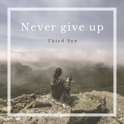 Third 3ye-Never Give Up