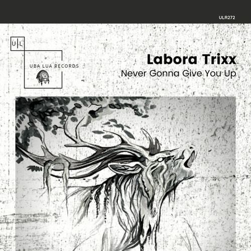 Labora Trixx-Never Gonna Give You Up