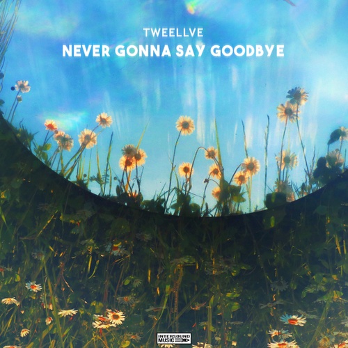 Tweellve-Never Gonna Say Goodbye