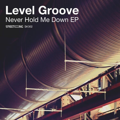 Level Groove-Never Hold Me Down EP