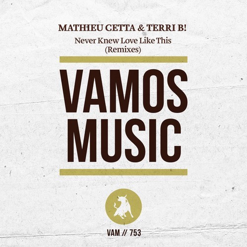 Terri B!, Mathieu Cetta, Orson Welsh, Maurizio Basilotta, Diola-Never Knew Love Like This (Remixes)