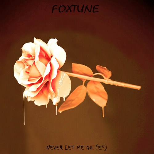 FoxTune-Never Let Me Go