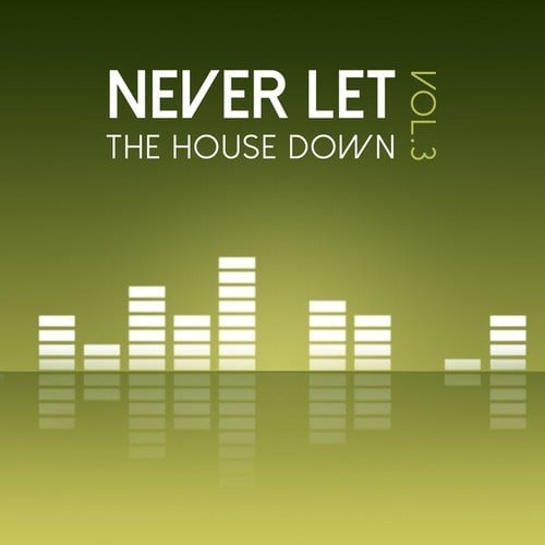 Various Artists-Never Let the House Down, Vol. 3