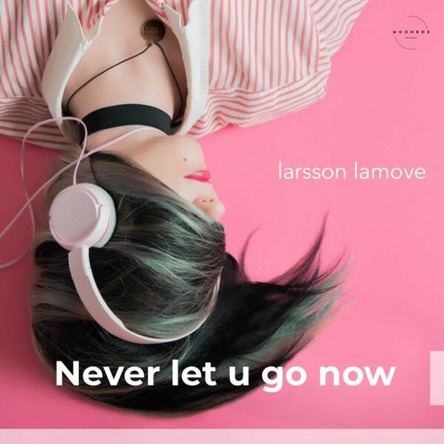 Larsson LaMove-Never Let U Go Now
