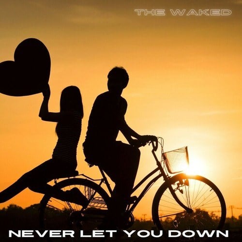 Never Let You Down