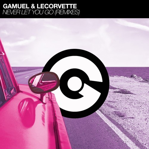 Gamuel, LeCorvette, Greg Haway, Mazay, Funky Fool, WSML-Never Let You Go (Remixes)