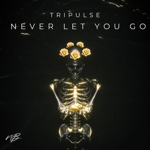 Tripulse-Never Let You Go