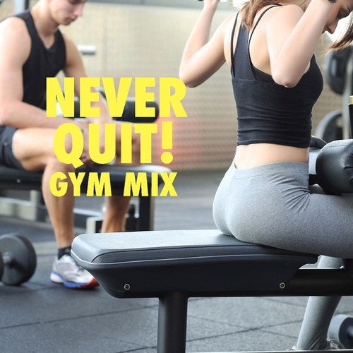 Various Artists-Never Quit! Gym Mix
