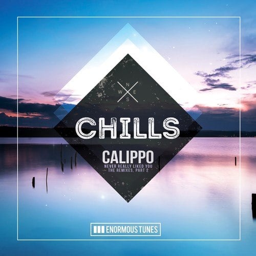 Calippo, Paige, Space Disco-Never Really Liked You
