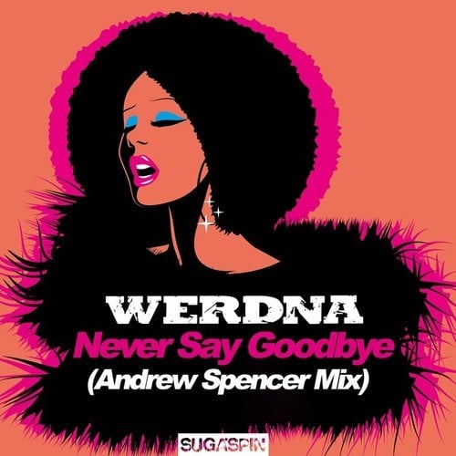 WERDNA, Andrew Spencer-Never Say Goodbye (Andrew Spencer Mix)