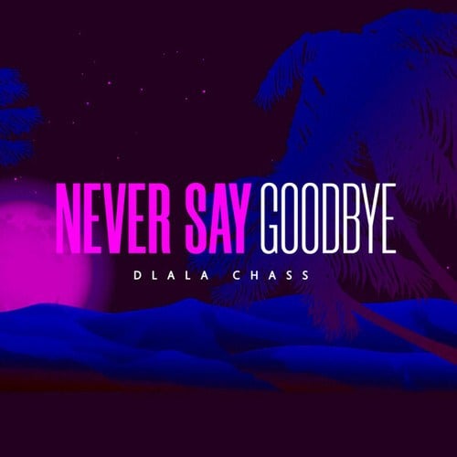 Dlala Chass-Never Say Goodbye
