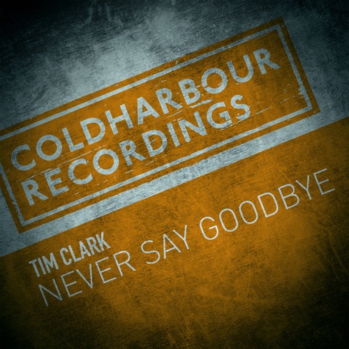 Never Say Goodbye