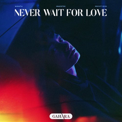 Never Wait For Love