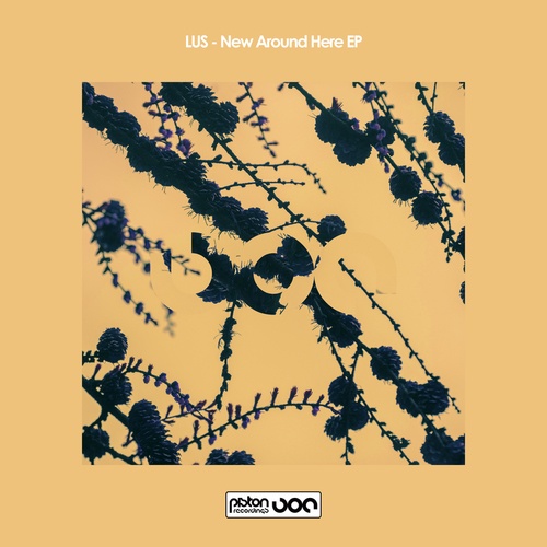 LUS-New Around Here EP