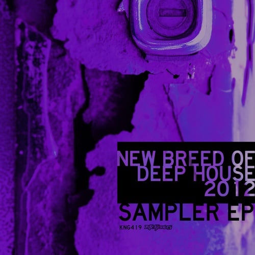 Soundealers, Washerman, Domscott, Chocolate Avenue, Alfonso Ares, Celia, Hamza Rahimtula, Tout Le Monde, Giom-New Breed Of Deep House 2012 EP