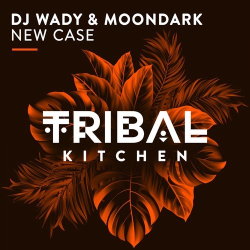DJ Wady, MoonDark-New Case (Radio Edit)
