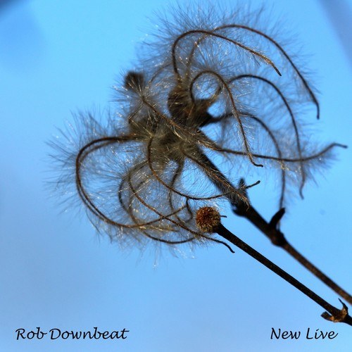 Rob Downbeat-New Live