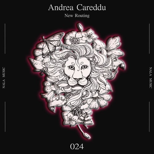 Andrea Careddu-New Routing
