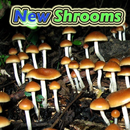 Various Artists-New Shrooms