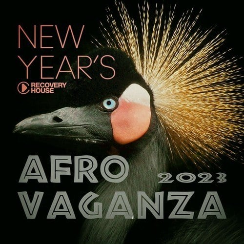 Various Artists-New Year's Afrovaganza 2023
