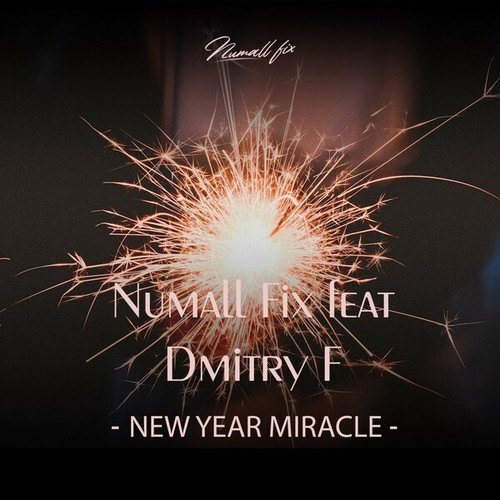 Numall Fix, Dmitry F-New Year's Miracle