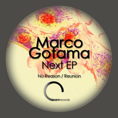 Marco Gotama-Next
