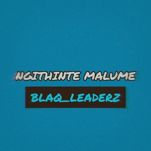 BLAQ_LEADERZ-NGITHINTE_MALUME