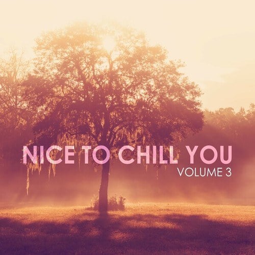 Nice to Chill You, Vol. 3