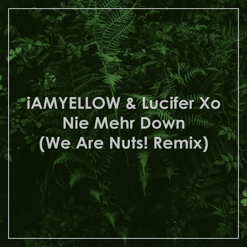 LUCIFER XO, IAMYELLOW, We Are Nuts!-Nie mehr down (We Are Nuts! Remix)