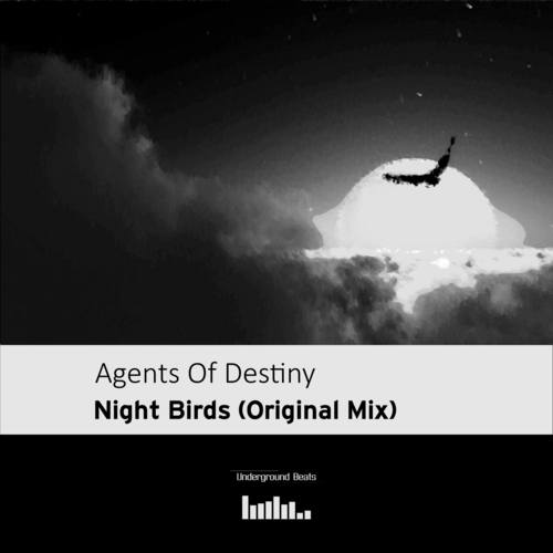 Agents Of Destiny-Night Birds