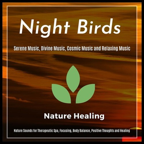 Night Birds - Nature Sounds for Therapeutic Spa, Focusing, Body Balance, Positive Thoughts and Healing (Serene Music, Divine Music, Cosmic Music and Relaxing)