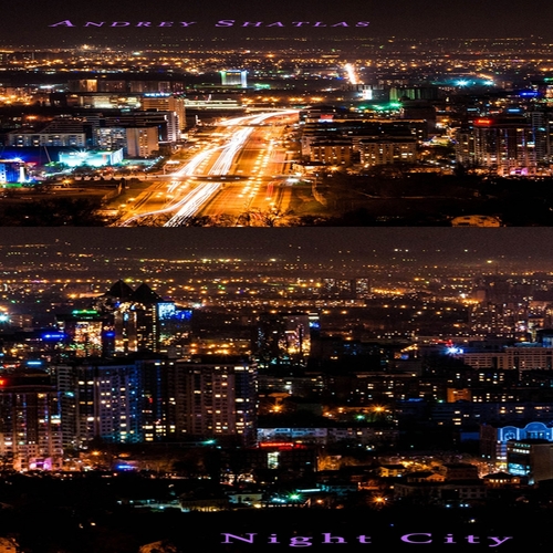 Andrey Shatlas-Night City