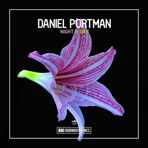 Daniel Portman-Night & Day