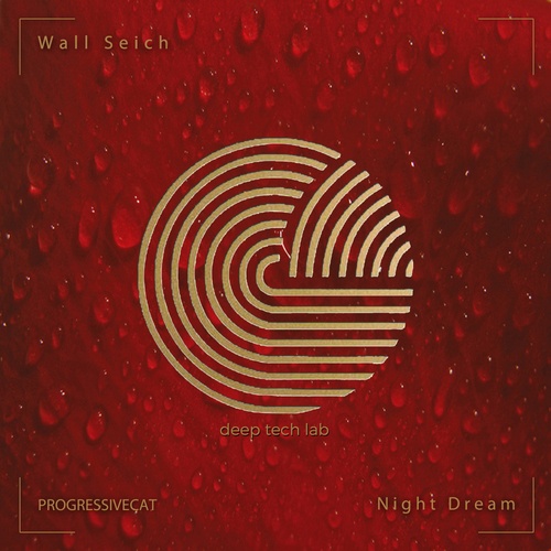 Wall Seich-Night Dream