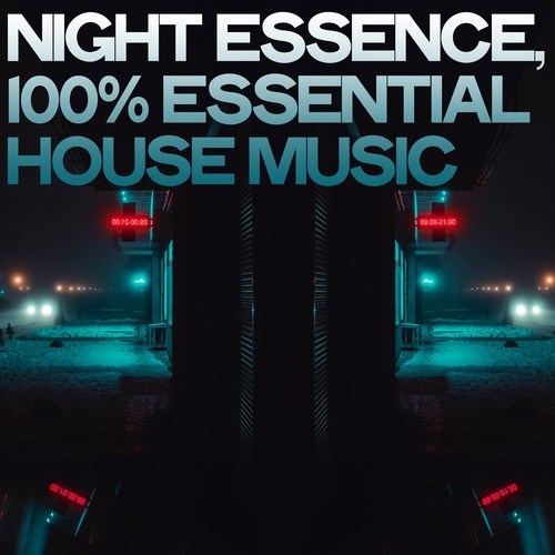 Night Essence (100% Essential House Music)