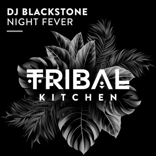 Dj Blackstone-Night Fever (Extended Mix)