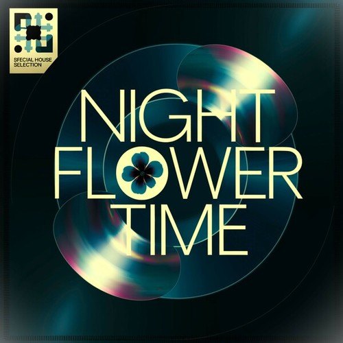 Night Flower Time