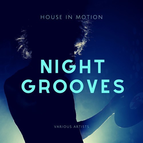 Various Artists-Night Groovers (House in Motion)