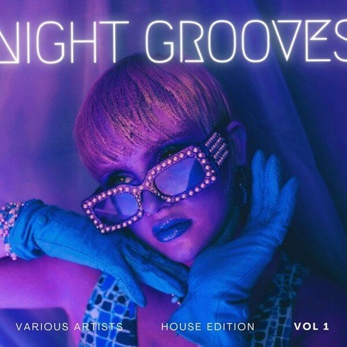 Various Artists-Night Grooves (House Edition), Vol. 1