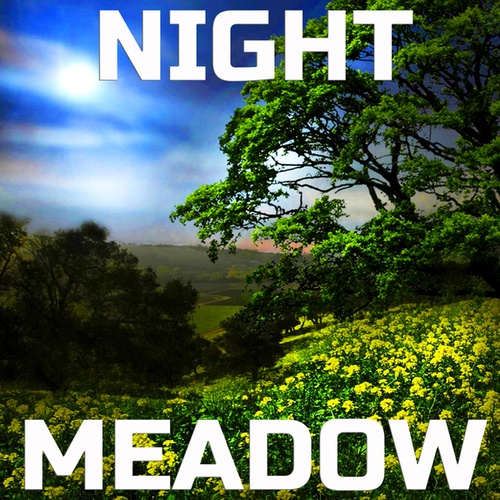 Night Meadow