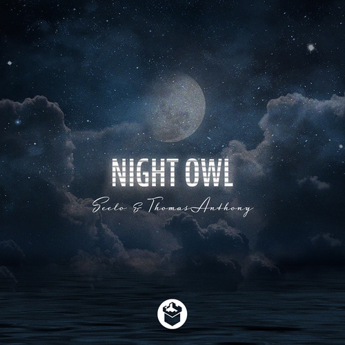 Seelo, Thomas Anthony-Night Owl