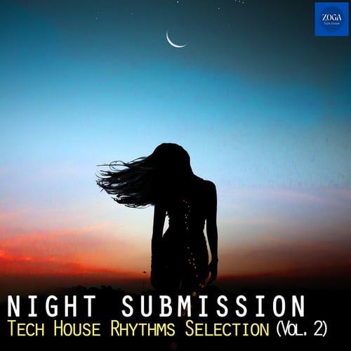 Night Submission, Vol. 2 (Tech House Rhythms Selection)