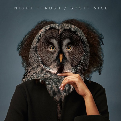 Scott Nice-Night Thrush