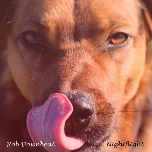 Rob Downbeat-Nightflight