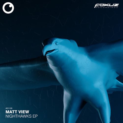 Matt View-Nighthawks EP
