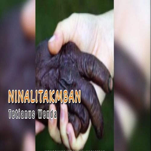 Ninalitakmban