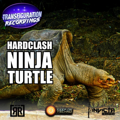 Hardclash-Ninja Turtle