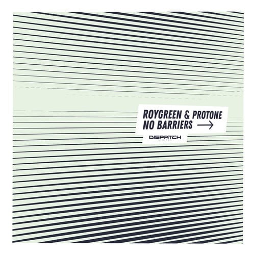 RoyGreen & Protone-No Barriers / Turn Fine